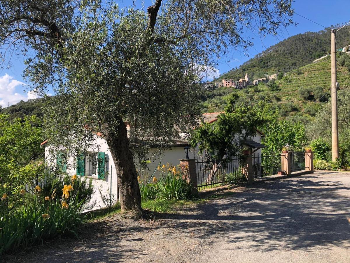 Dolcevia Apartment Levanto Bagian luar foto