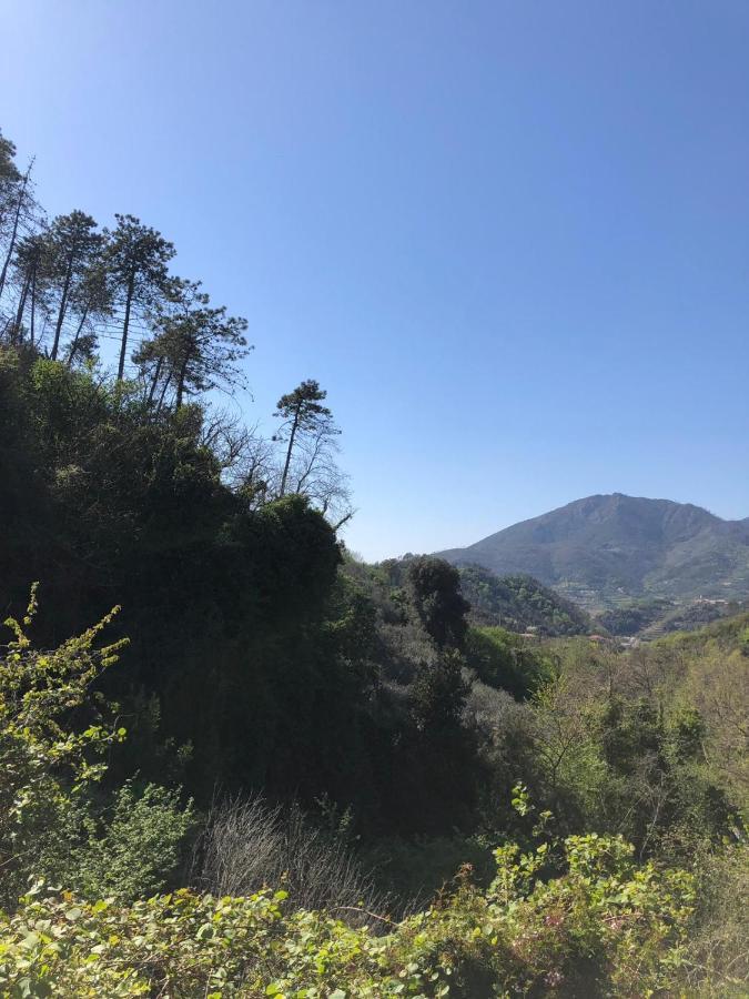 Dolcevia Apartment Levanto Bagian luar foto