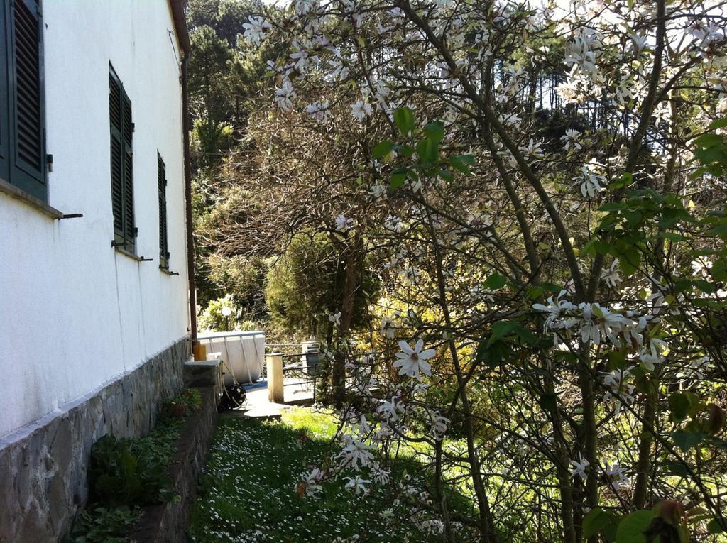Dolcevia Apartment Levanto Bagian luar foto