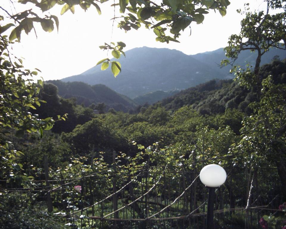 Dolcevia Apartment Levanto Bagian luar foto